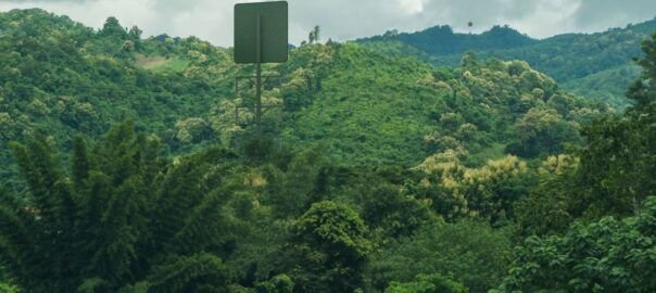 bosque verde - CUBREPACK