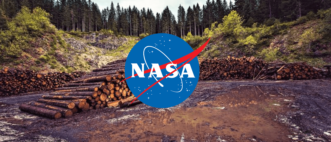 GEDI NASA, proyecto que evitara la deforestacion - CUBREPACK