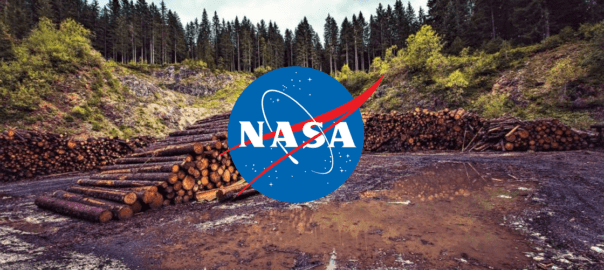 GEDI NASA, proyecto que evitara la deforestacion - CUBREPACK
