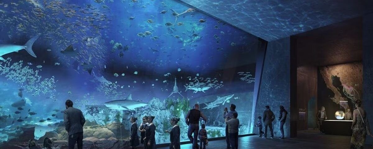 Tatiana Bilbao, la diseñadora del acuario del gran mar de cortes - CUBREPACK